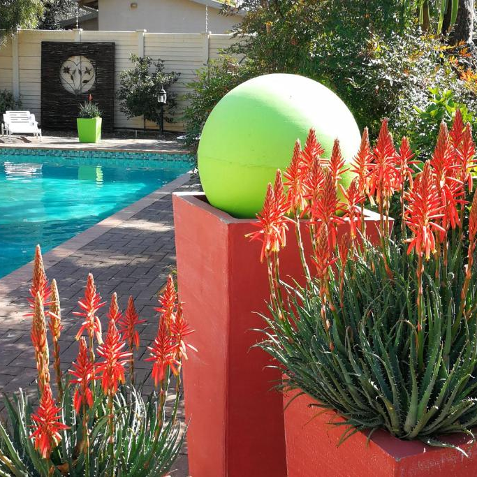 chic Breeze Pool Area